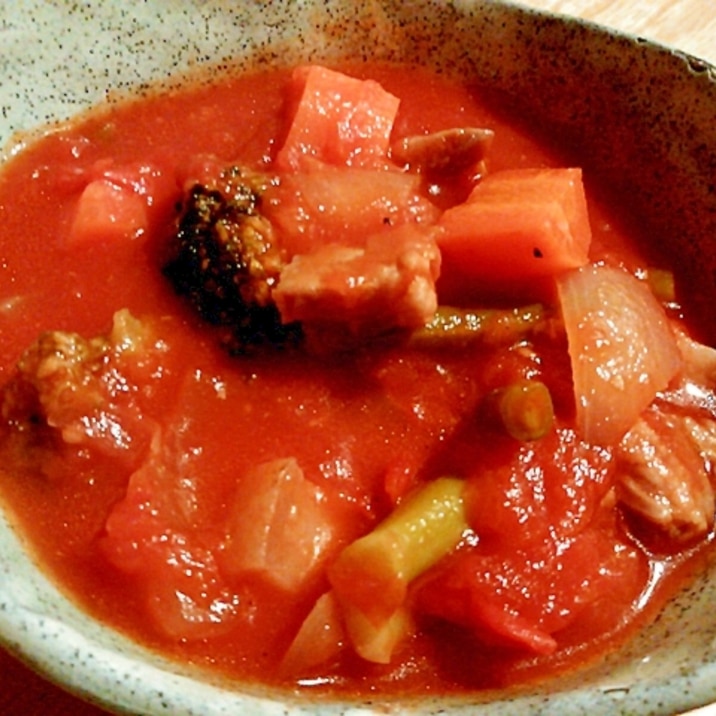 鶏肉と野菜のトマト煮込み